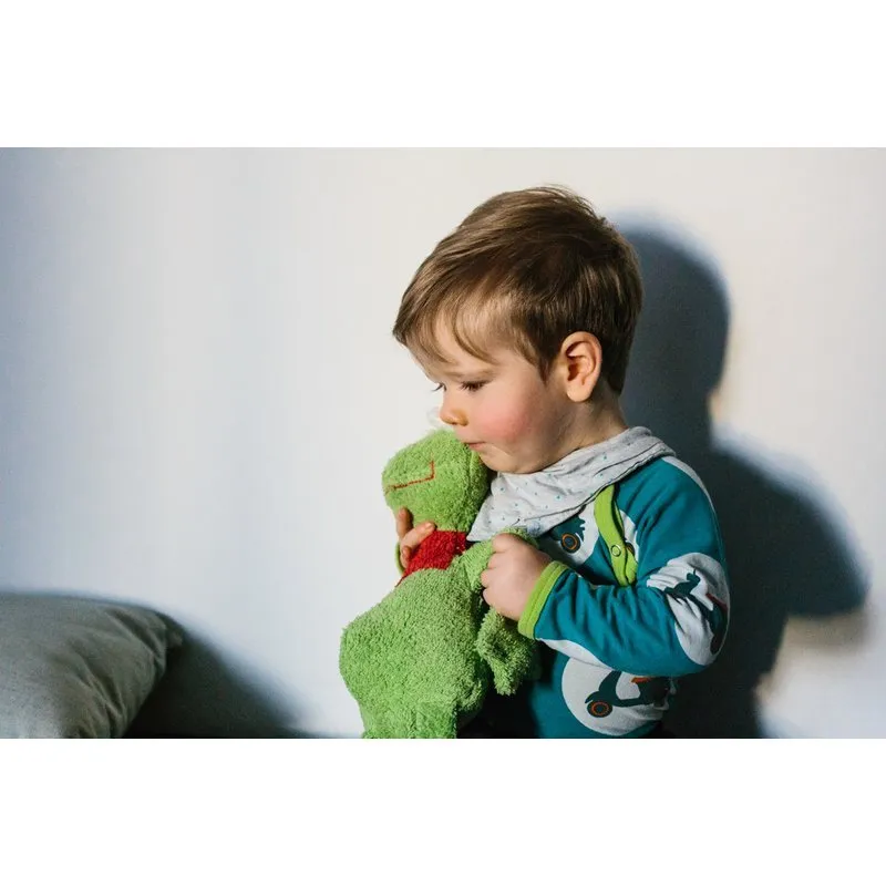 Organic Cotton Frog by Efie