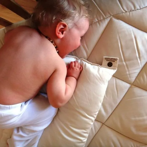 Organic - Cot/Travel Wool Pillow
