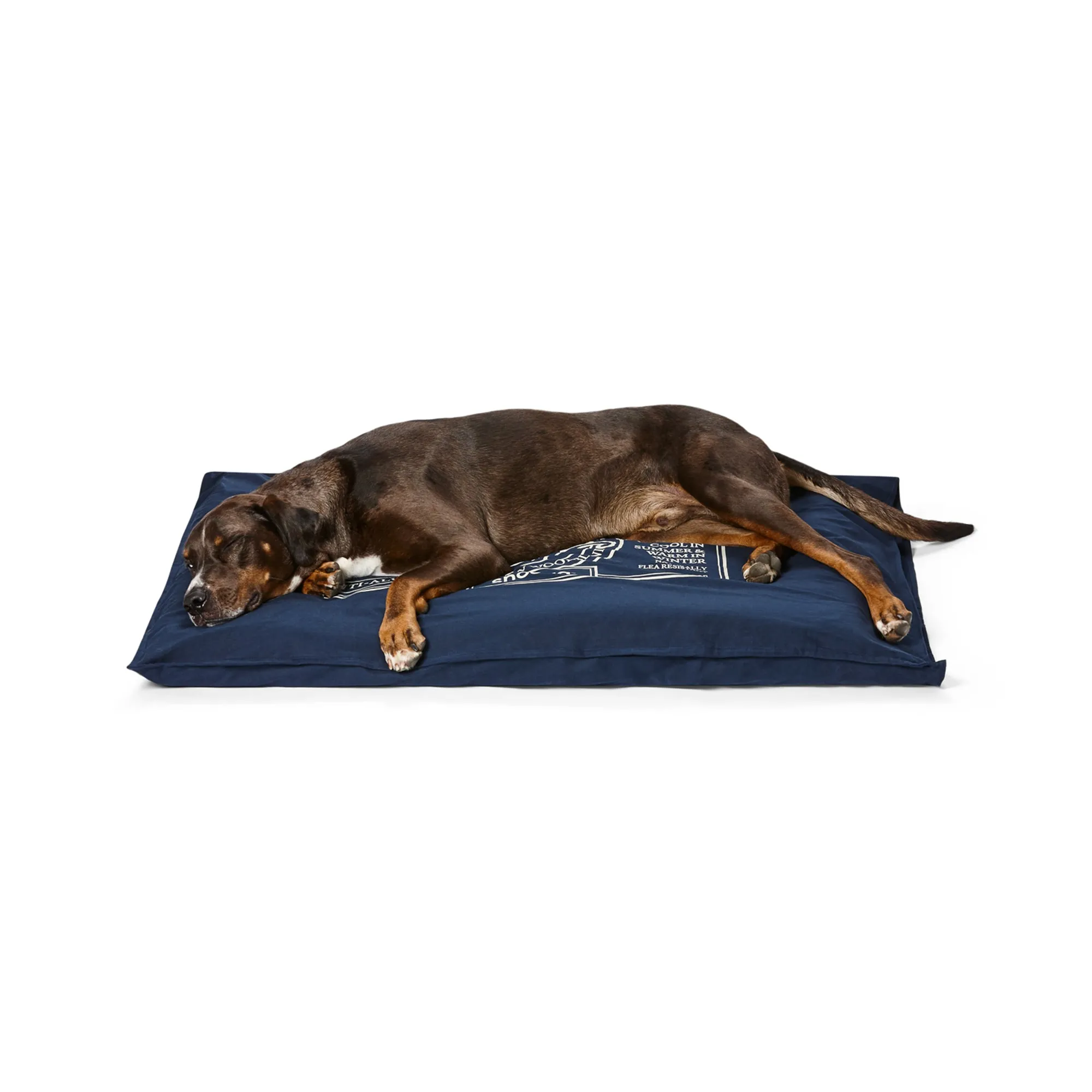Snooza Organic Pet Futon Blue